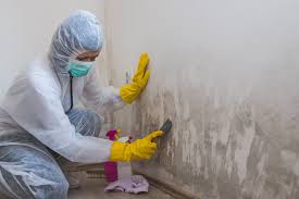 Best Water Damage & Mold Remediation  in Linglestown, PA